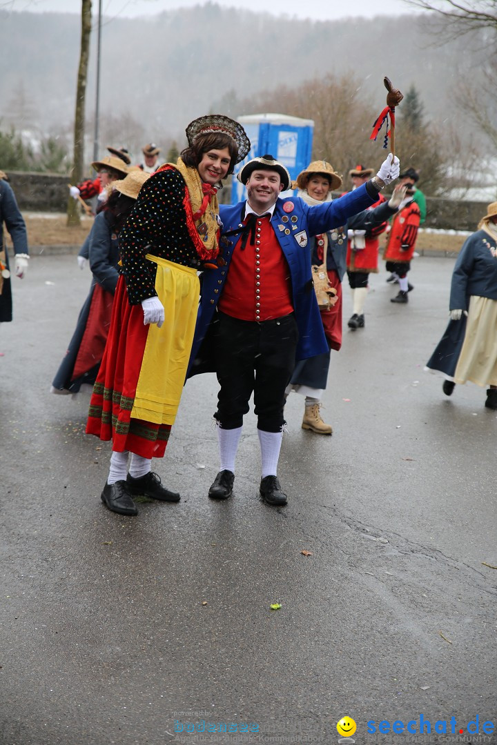 Fasnet Festumzug mit Motivwagen : Stockach am Bodensee, 01.02.2015