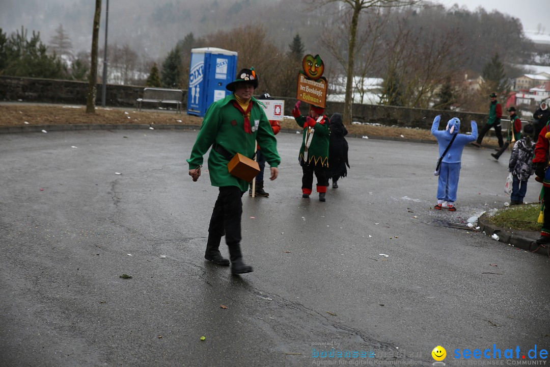 Fasnet Festumzug mit Motivwagen : Stockach am Bodensee, 01.02.2015