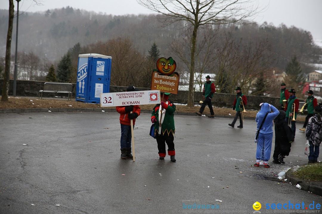 Fasnet Festumzug mit Motivwagen : Stockach am Bodensee, 01.02.2015