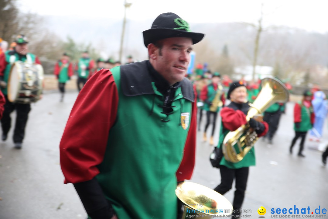 Fasnet Festumzug mit Motivwagen : Stockach am Bodensee, 01.02.2015