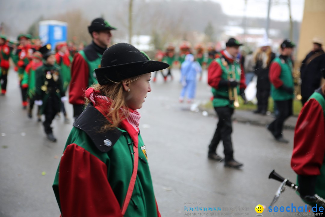 Fasnet Festumzug mit Motivwagen : Stockach am Bodensee, 01.02.2015