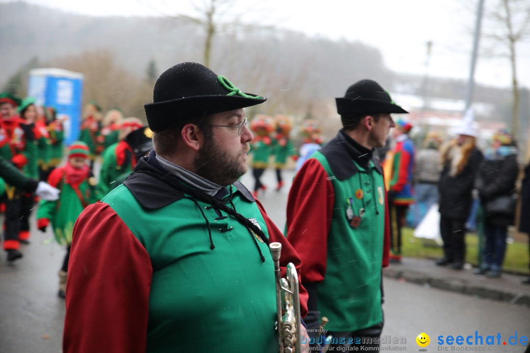 Fasnet Festumzug mit Motivwagen : Stockach am Bodensee, 01.02.2015