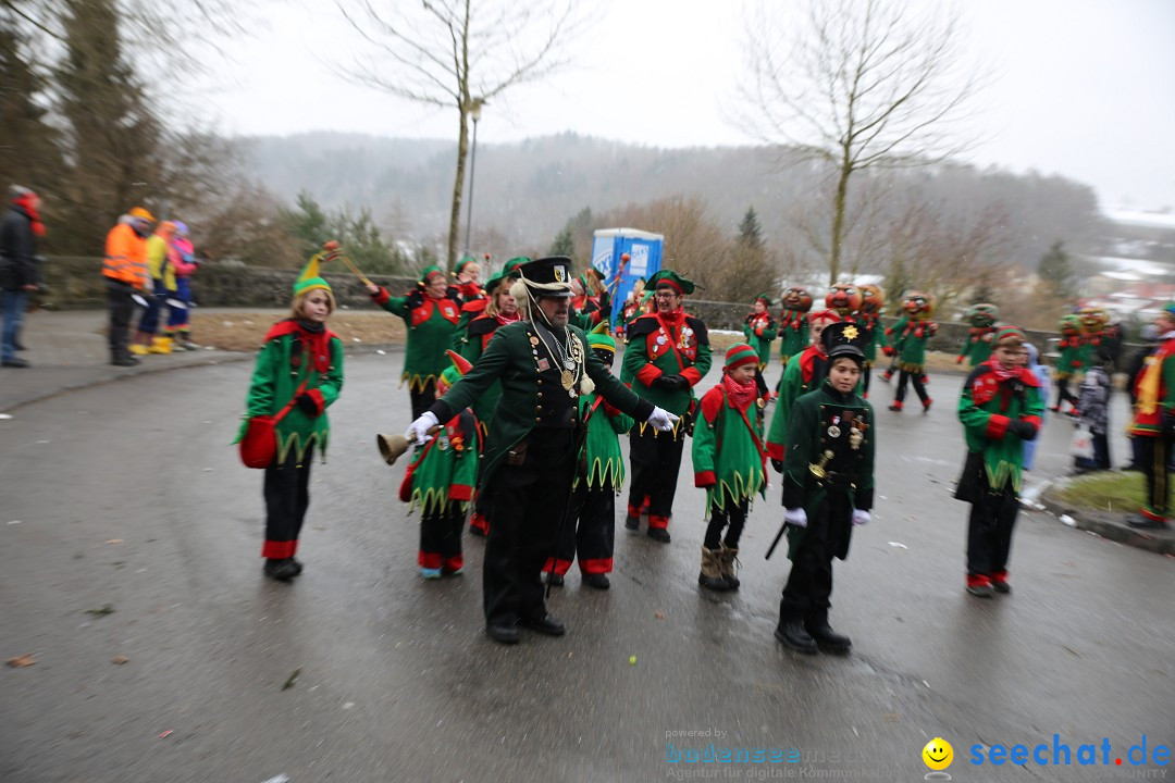 Fasnet Festumzug mit Motivwagen : Stockach am Bodensee, 01.02.2015