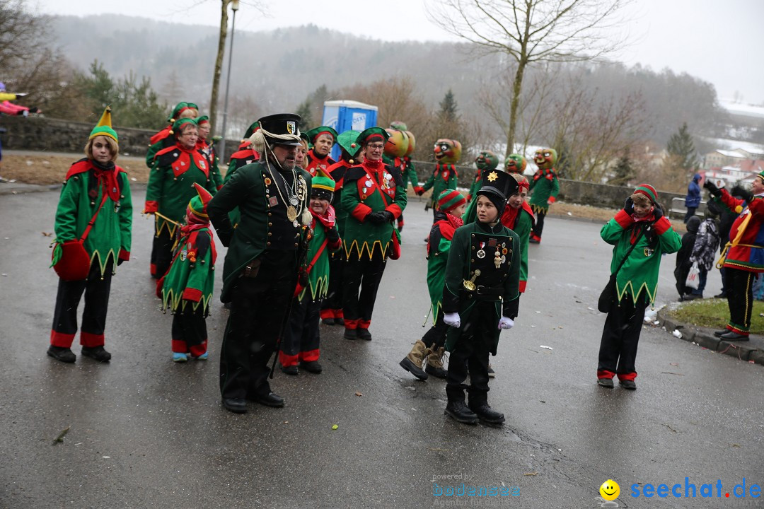 Fasnet Festumzug mit Motivwagen : Stockach am Bodensee, 01.02.2015