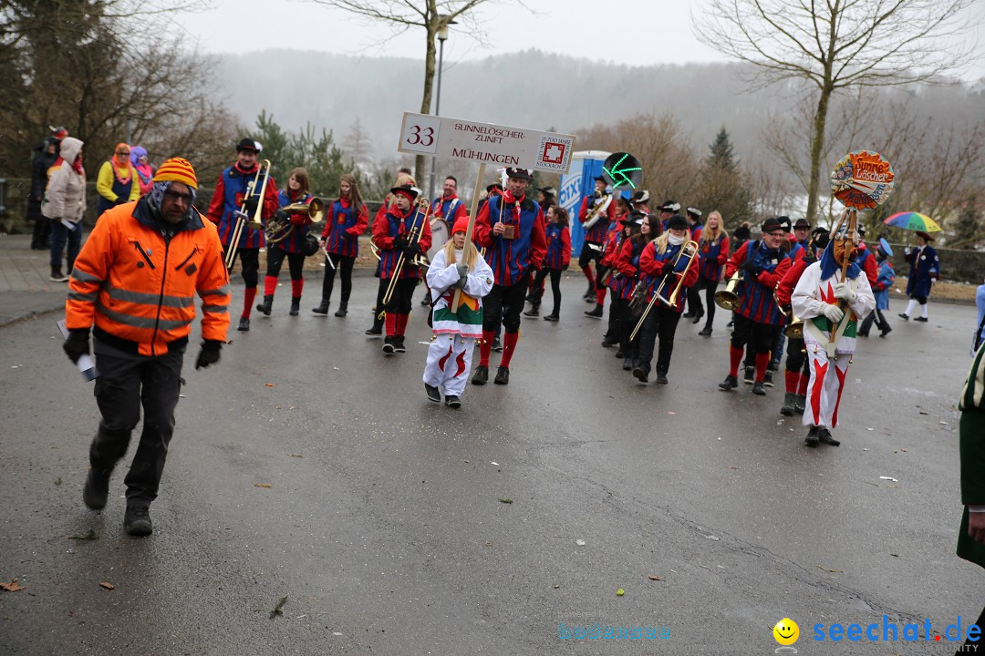 Fasnet Festumzug mit Motivwagen : Stockach am Bodensee, 01.02.2015