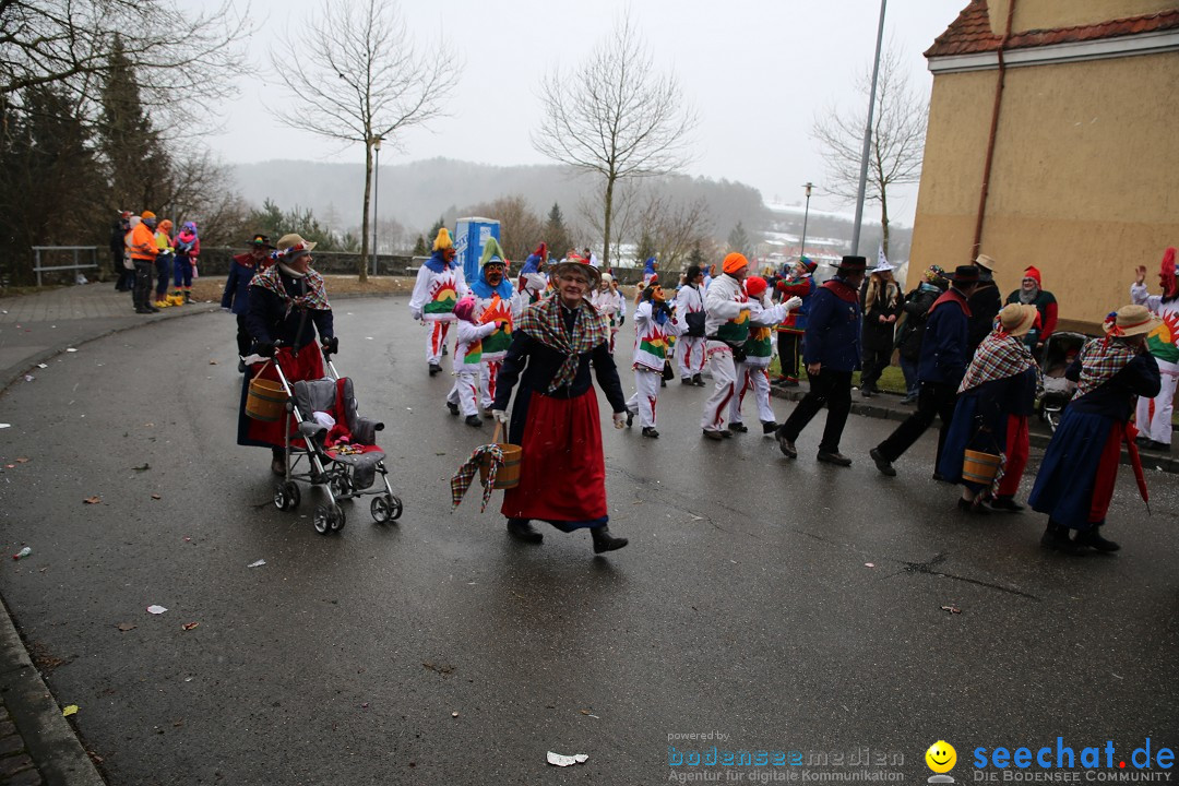 Fasnet Festumzug mit Motivwagen : Stockach am Bodensee, 01.02.2015