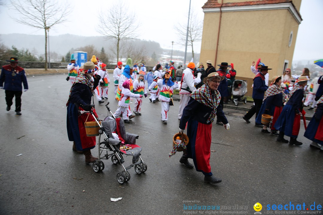 Fasnet Festumzug mit Motivwagen : Stockach am Bodensee, 01.02.2015