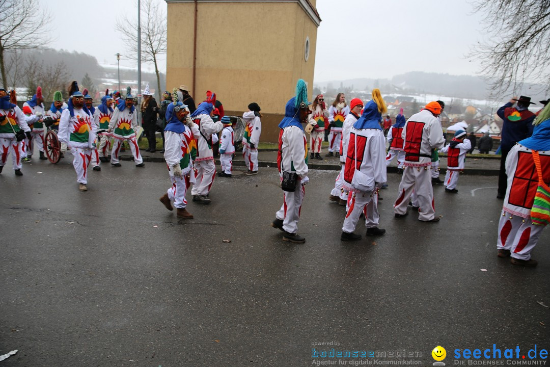 Fasnet Festumzug mit Motivwagen : Stockach am Bodensee, 01.02.2015