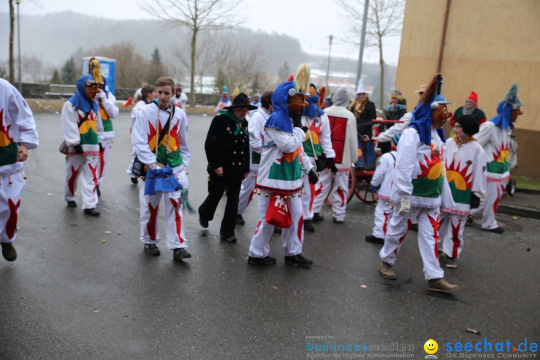 Fasnet Festumzug mit Motivwagen : Stockach am Bodensee, 01.02.2015