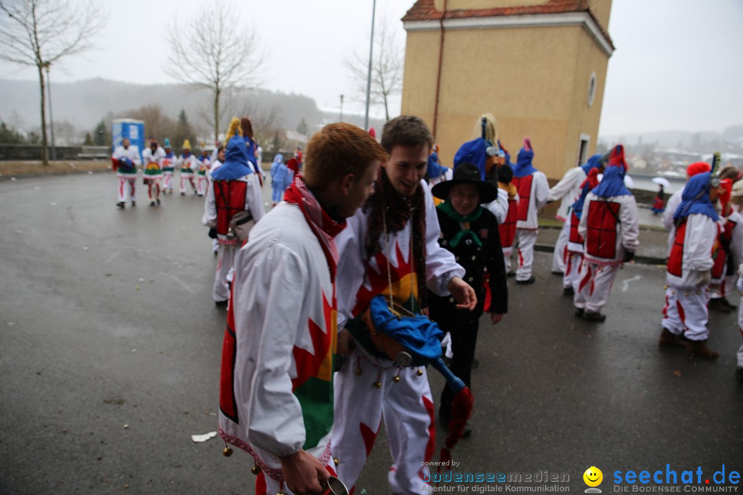 Fasnet Festumzug mit Motivwagen : Stockach am Bodensee, 01.02.2015