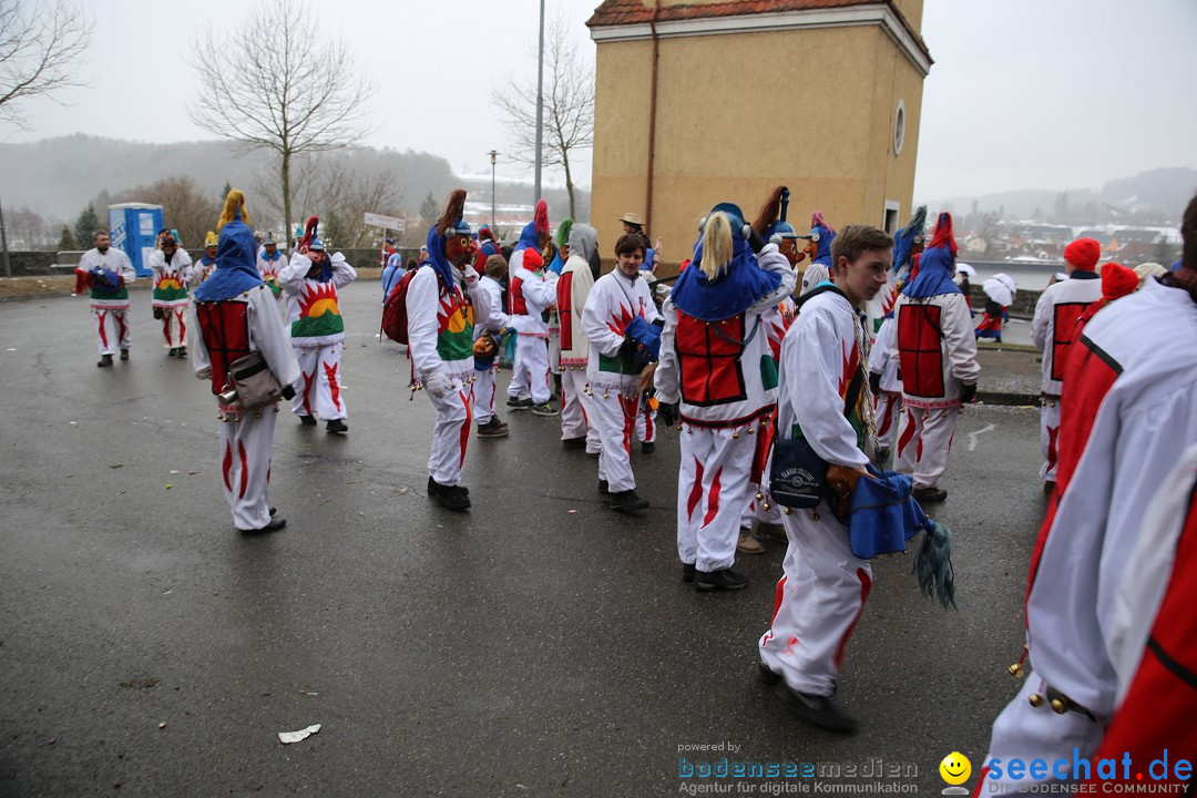 Fasnet Festumzug mit Motivwagen : Stockach am Bodensee, 01.02.2015