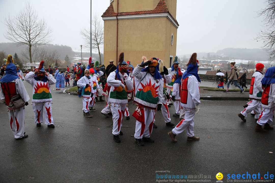 Fasnet Festumzug mit Motivwagen : Stockach am Bodensee, 01.02.2015