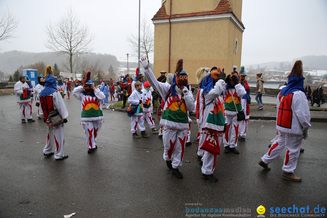 Fasnet Festumzug mit Motivwagen : Stockach am Bodensee, 01.02.2015