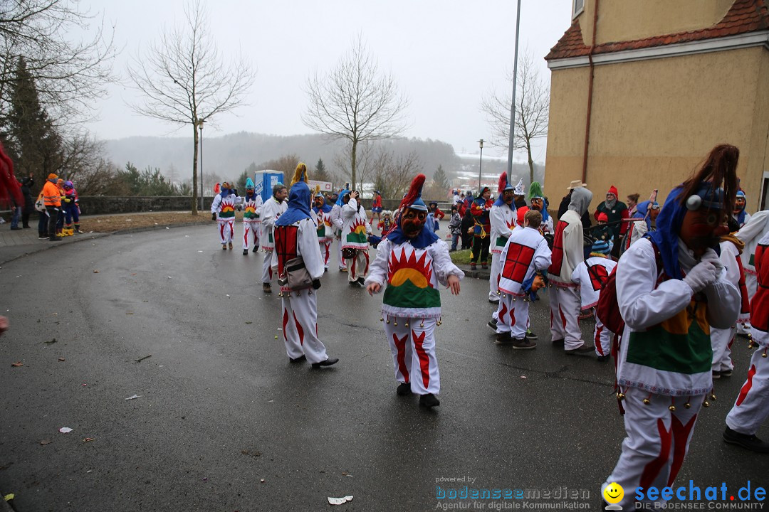 Fasnet Festumzug mit Motivwagen : Stockach am Bodensee, 01.02.2015