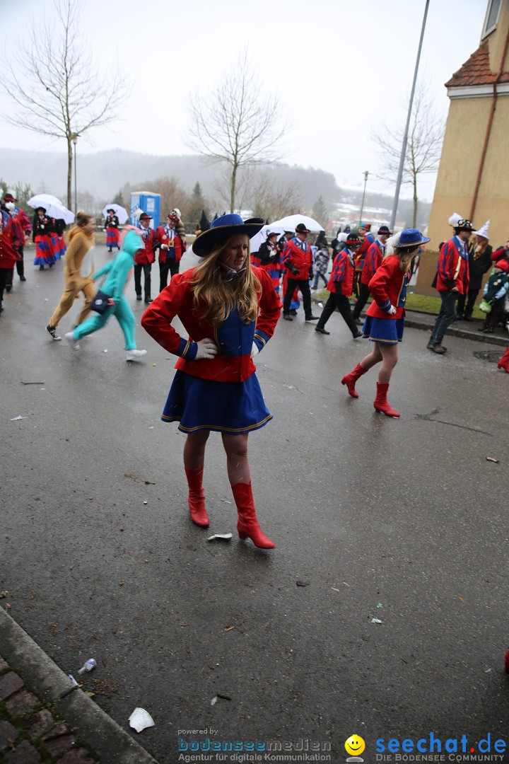 Fasnet Festumzug mit Motivwagen : Stockach am Bodensee, 01.02.2015