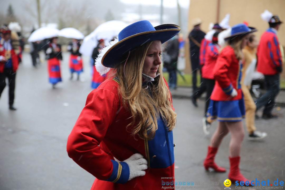 Fasnet Festumzug mit Motivwagen : Stockach am Bodensee, 01.02.2015