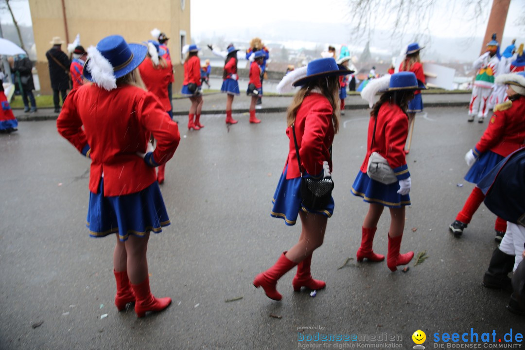 Fasnet Festumzug mit Motivwagen : Stockach am Bodensee, 01.02.2015