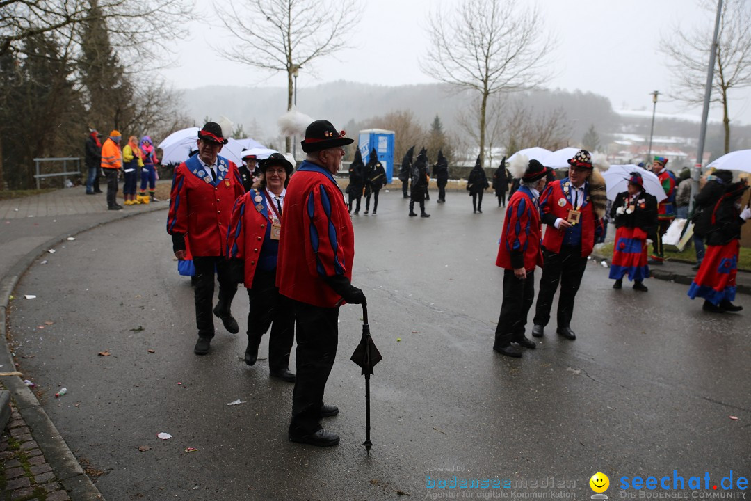 Fasnet Festumzug mit Motivwagen : Stockach am Bodensee, 01.02.2015