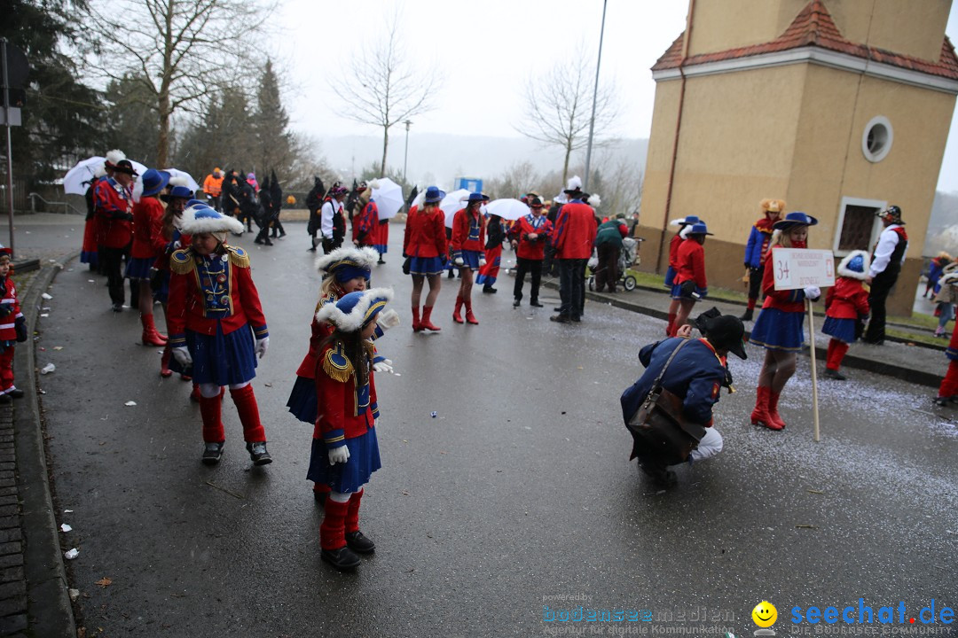 Fasnet Festumzug mit Motivwagen : Stockach am Bodensee, 01.02.2015