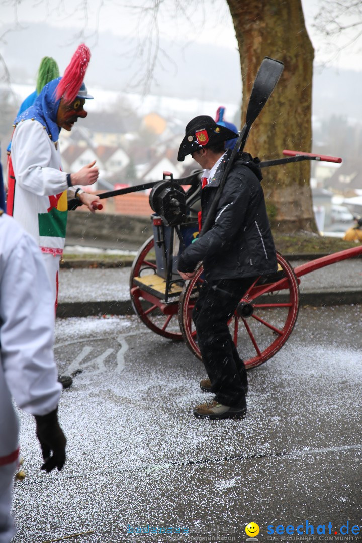 Fasnet Festumzug mit Motivwagen : Stockach am Bodensee, 01.02.2015