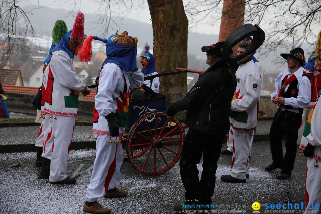 Fasnet Festumzug mit Motivwagen : Stockach am Bodensee, 01.02.2015