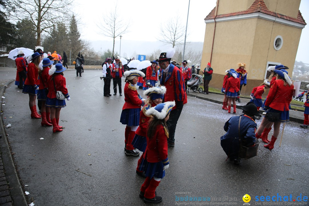 Fasnet Festumzug mit Motivwagen : Stockach am Bodensee, 01.02.2015