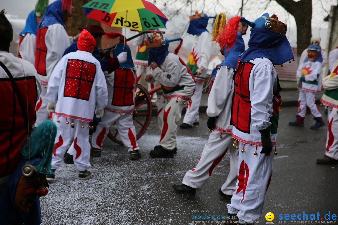 Fasnet Festumzug mit Motivwagen : Stockach am Bodensee, 01.02.2015