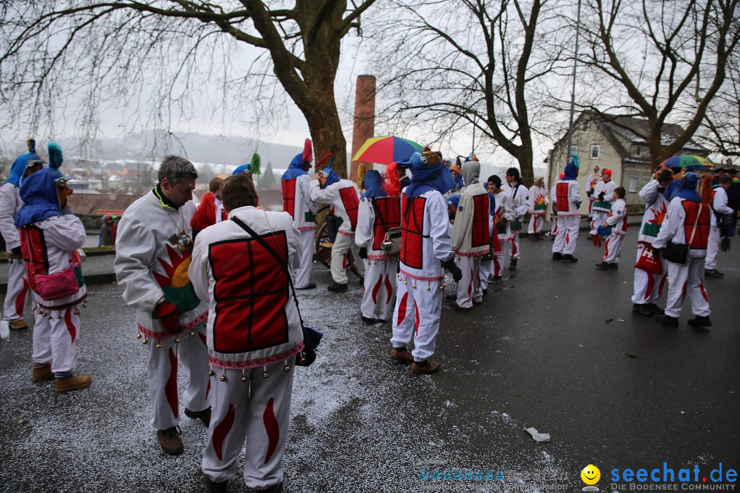 Fasnet Festumzug mit Motivwagen : Stockach am Bodensee, 01.02.2015