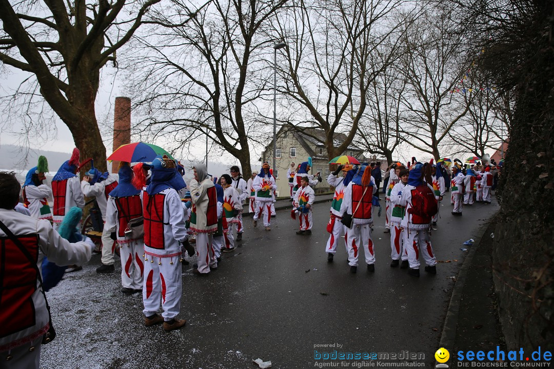 Fasnet Festumzug mit Motivwagen : Stockach am Bodensee, 01.02.2015