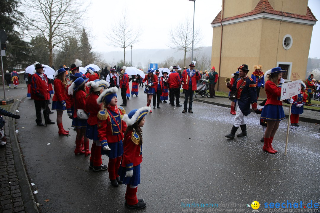 Fasnet Festumzug mit Motivwagen : Stockach am Bodensee, 01.02.2015