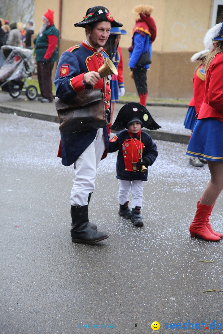 Fasnet Festumzug mit Motivwagen : Stockach am Bodensee, 01.02.2015