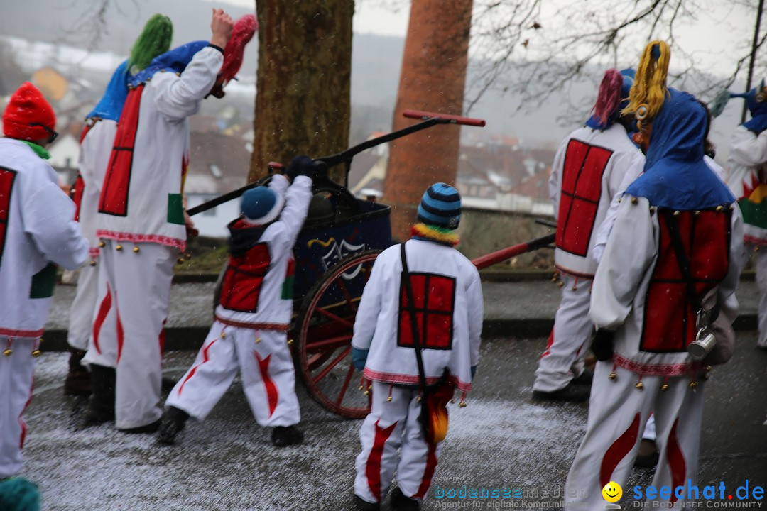 Fasnet Festumzug mit Motivwagen : Stockach am Bodensee, 01.02.2015