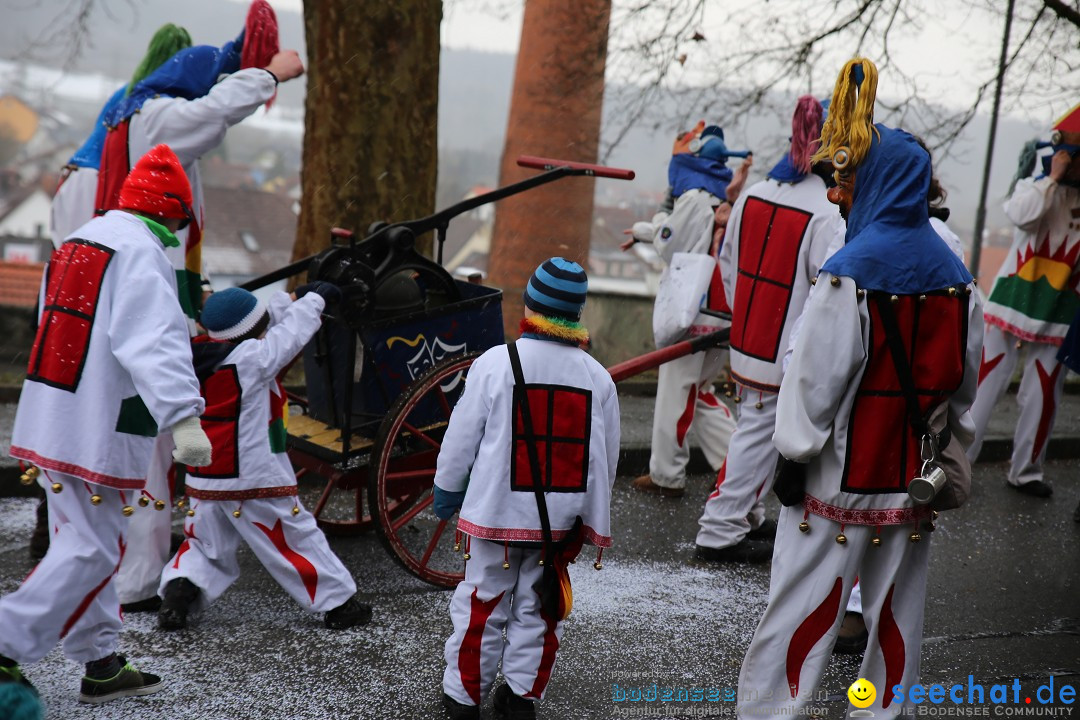 Fasnet Festumzug mit Motivwagen : Stockach am Bodensee, 01.02.2015