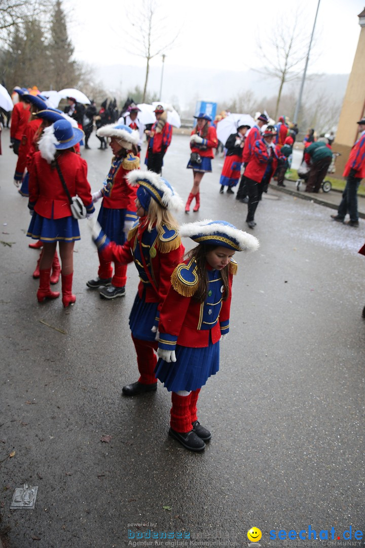 Fasnet Festumzug mit Motivwagen : Stockach am Bodensee, 01.02.2015