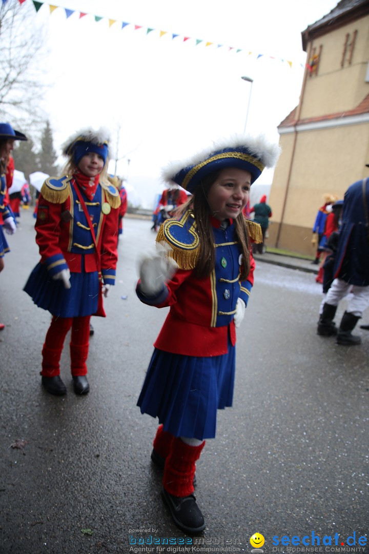 Fasnet Festumzug mit Motivwagen : Stockach am Bodensee, 01.02.2015