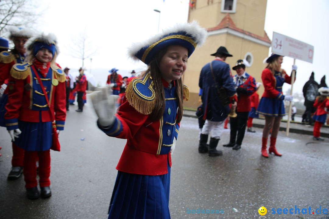 Fasnet Festumzug mit Motivwagen : Stockach am Bodensee, 01.02.2015