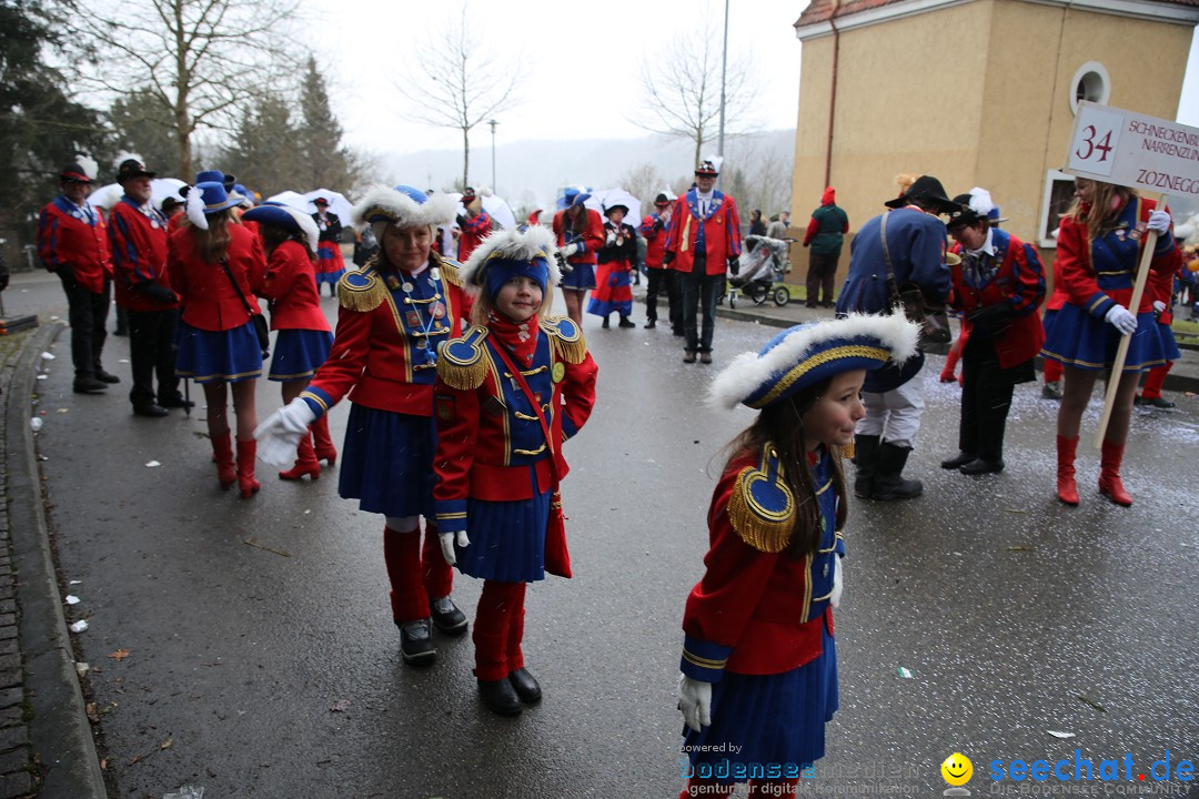 Fasnet Festumzug mit Motivwagen : Stockach am Bodensee, 01.02.2015