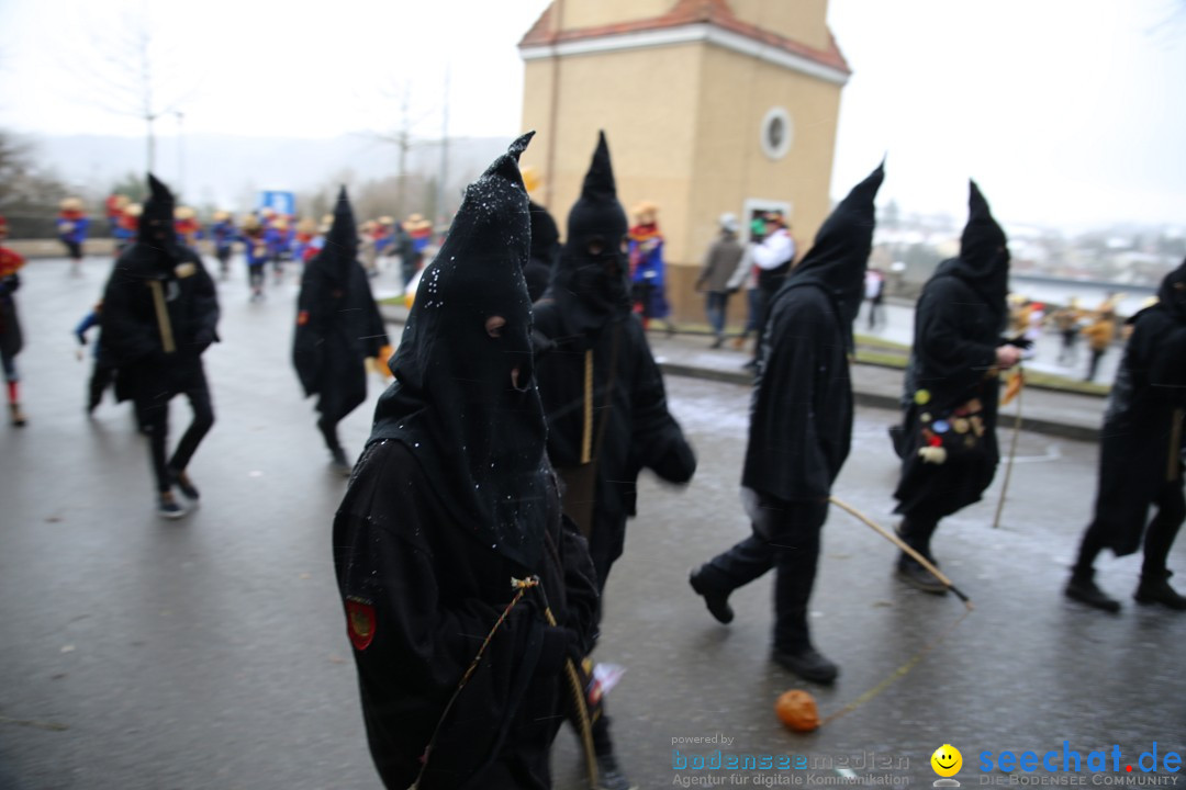 Fasnet Festumzug mit Motivwagen : Stockach am Bodensee, 01.02.2015