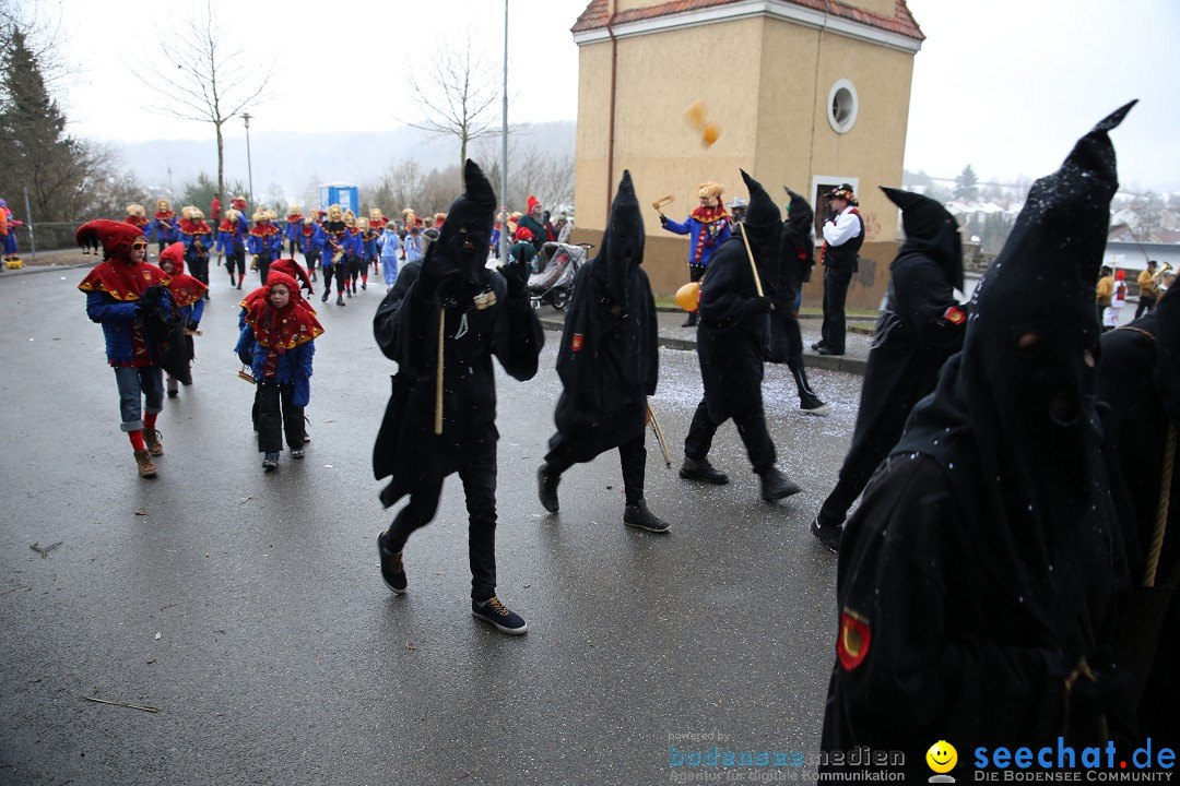 Fasnet Festumzug mit Motivwagen : Stockach am Bodensee, 01.02.2015