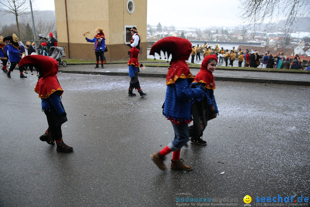 Fasnet Festumzug mit Motivwagen : Stockach am Bodensee, 01.02.2015