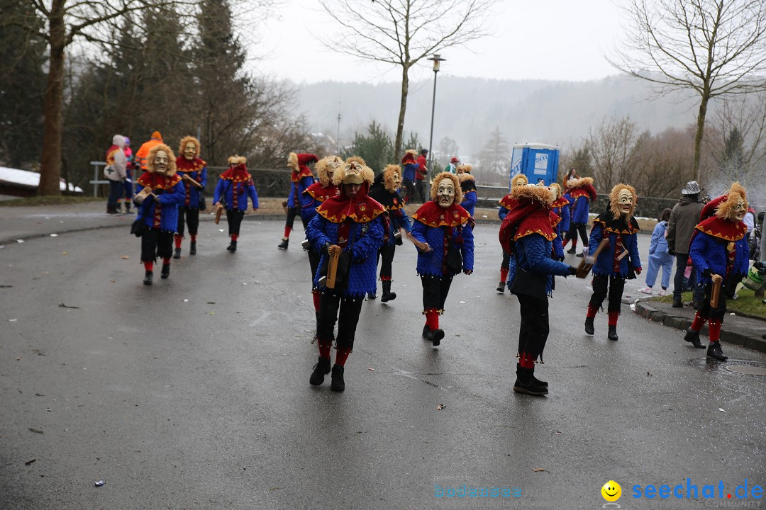 Fasnet Festumzug mit Motivwagen : Stockach am Bodensee, 01.02.2015