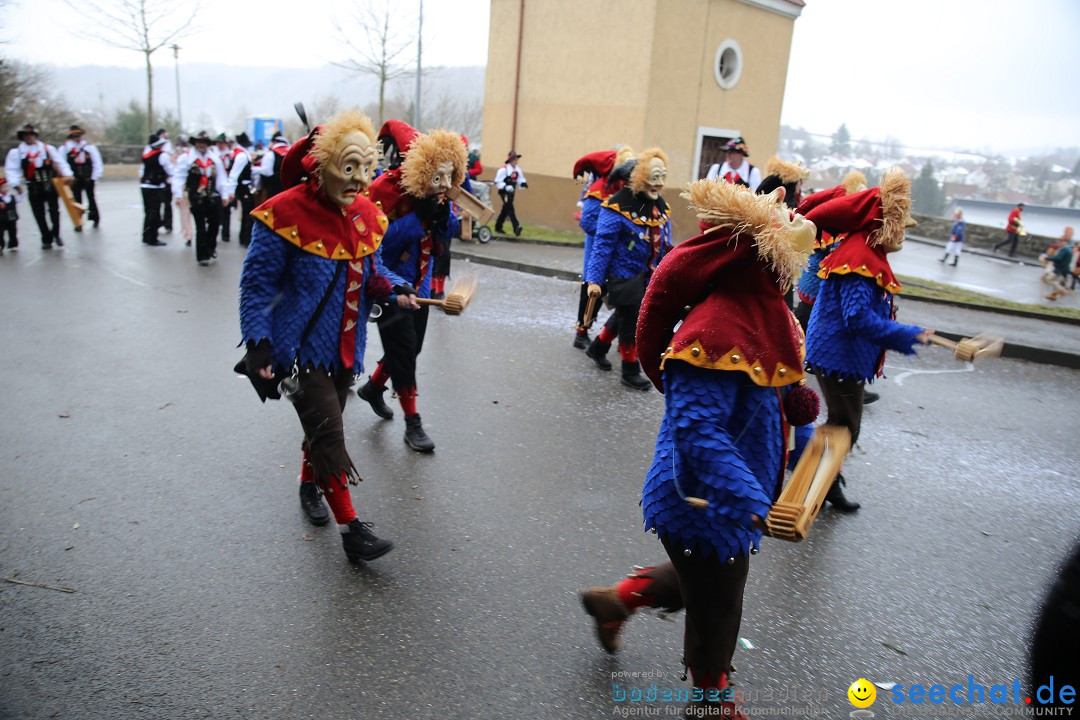 Fasnet Festumzug mit Motivwagen : Stockach am Bodensee, 01.02.2015