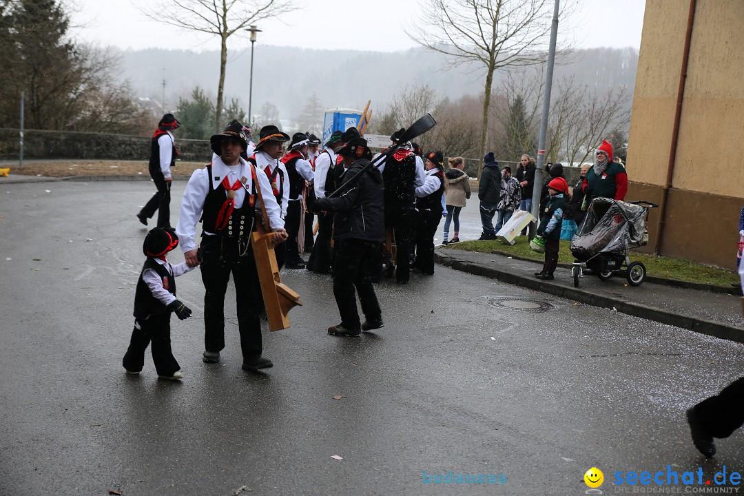 Fasnet Festumzug mit Motivwagen : Stockach am Bodensee, 01.02.2015