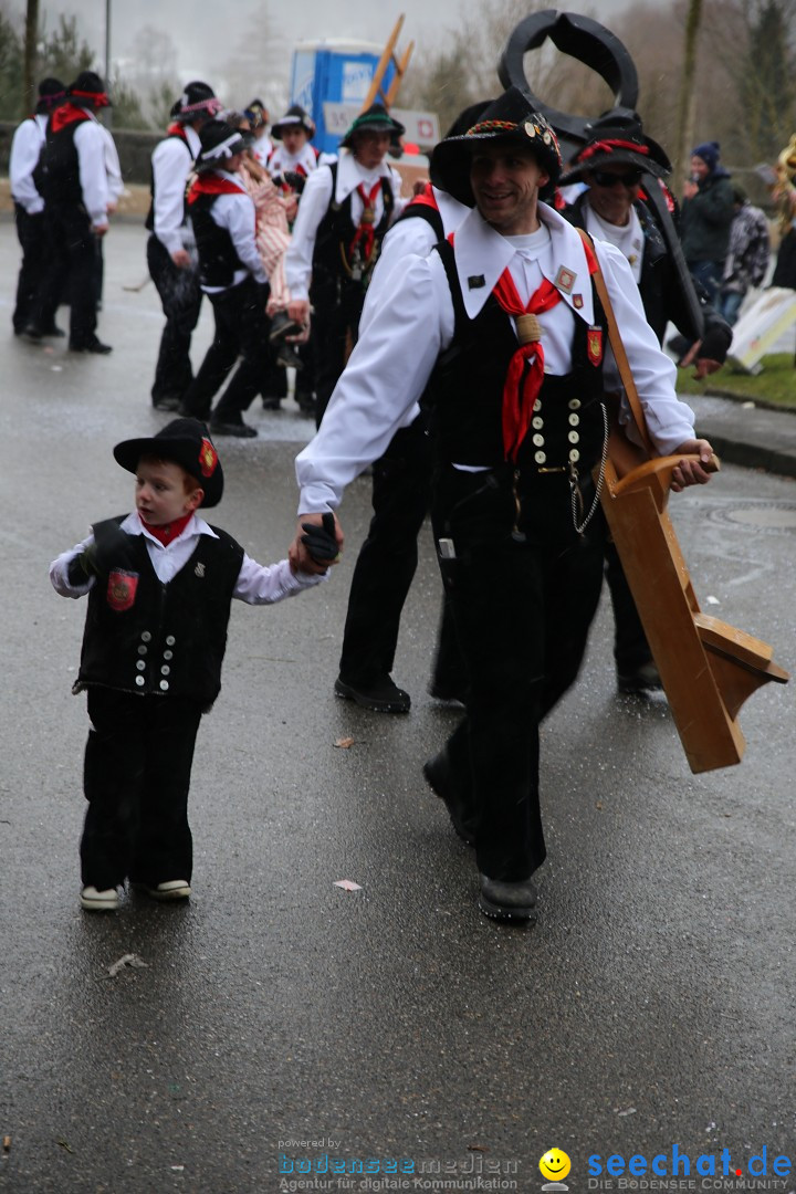 Fasnet Festumzug mit Motivwagen : Stockach am Bodensee, 01.02.2015