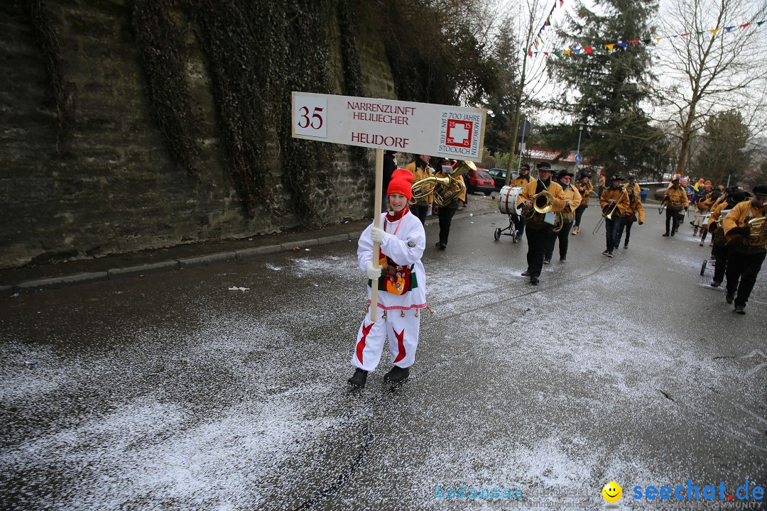 Fasnet Festumzug mit Motivwagen : Stockach am Bodensee, 01.02.2015