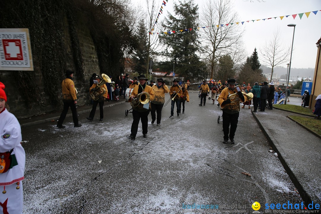 Fasnet Festumzug mit Motivwagen : Stockach am Bodensee, 01.02.2015