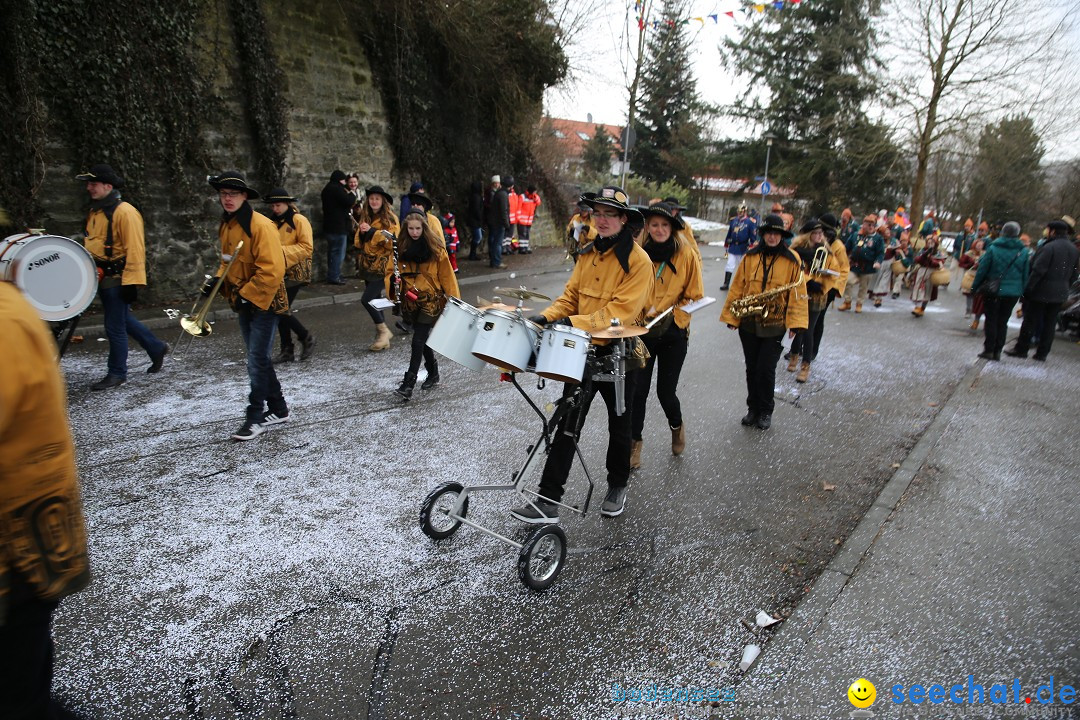 Fasnet Festumzug mit Motivwagen : Stockach am Bodensee, 01.02.2015