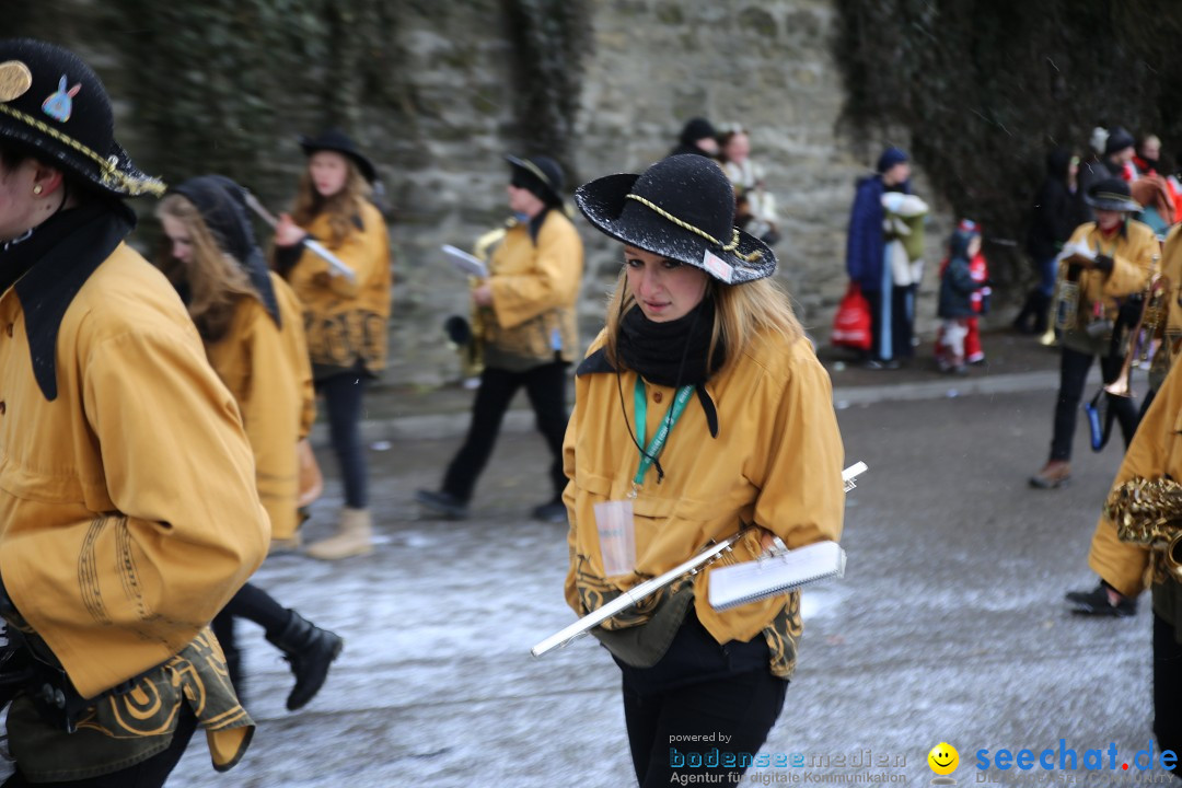 Fasnet Festumzug mit Motivwagen : Stockach am Bodensee, 01.02.2015