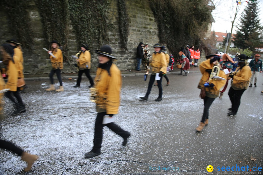 Fasnet Festumzug mit Motivwagen : Stockach am Bodensee, 01.02.2015