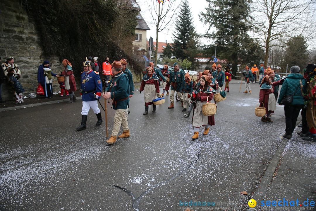 Fasnet Festumzug mit Motivwagen : Stockach am Bodensee, 01.02.2015